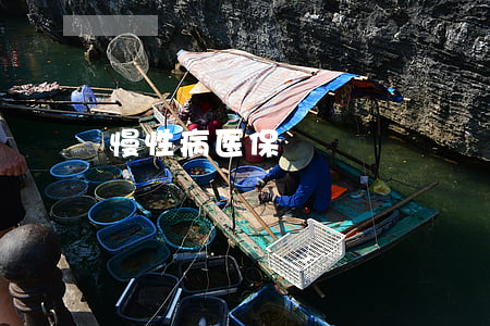 慢性病医保