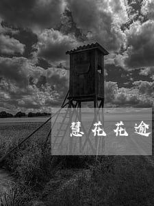 慧花花逾期6個(gè)月了