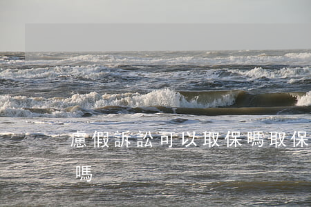 慮假訴訟可以取保嗎(取保期間可以起訴他人嗎)