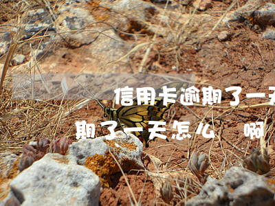 慶東信用卡逾期了一天怎么辦(慶東信用卡逾期了一天怎么辦啊)