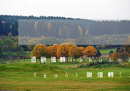 憑微信轉(zhuǎn)賬把我起訴了 通過(guò)微信轉(zhuǎn)款給別人,后起訴要求對(duì)方還款,能成立嗎