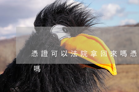 憑證可以法院拿回來嗎(憑證可以法院拿回來嗎)