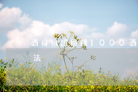 憑身份證借錢1000(憑身份證借錢最快方法)