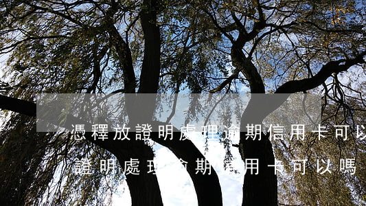 憑釋放證明處理逾期信用卡可以嗎-憑釋放證明處理逾期信用卡可以嗎
