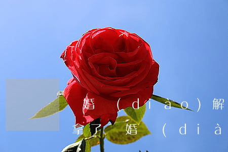 憑離婚調(diào)解書可以再辦離婚證嗎(拿了離婚調(diào)解書還要去民政局辦理離婚證嗎)