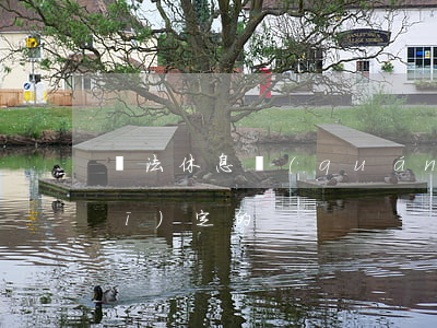 憲法休息權(quán)是怎么樣規(guī)定的