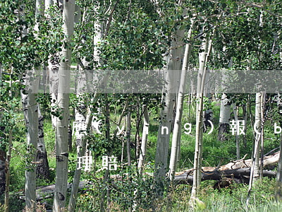 應(yīng)報(bào)廢車輛是否能理賠