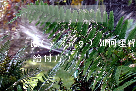 應(yīng)如何理解彩禮返還糾紛中“給付方”