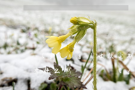 應(yīng)收款逾期對(duì)公司有什么影響嗎-應(yīng)收款逾期對(duì)公司有什么影響嗎知乎