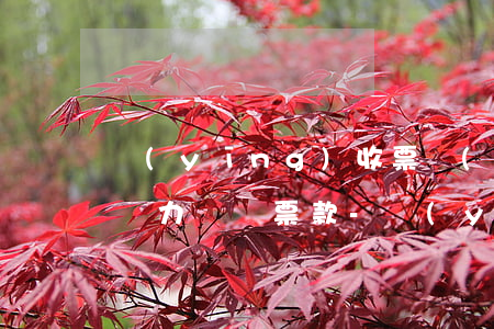 應(yīng)收票據(jù)到期承兌人無力償還票款-應(yīng)收票據(jù)到期承兌人無力償還票款怎么辦
