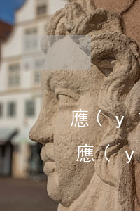 應(yīng)收票據(jù)無力償還時(應(yīng)收票據(jù)無力償還時)