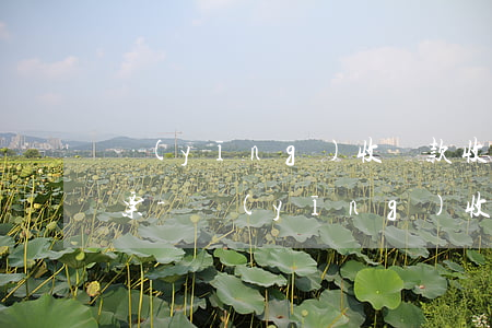 應(yīng)收賬款收到逾期利息如何開票-應(yīng)收賬款收到逾期利息如何開票抵扣