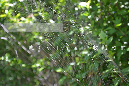 應(yīng)收賬款的功能有哪些