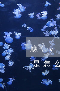 應(yīng)收賬款逾期天數(shù)是怎么算的 應(yīng)收賬款逾期天數(shù)