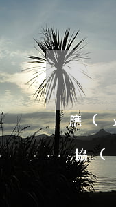 應(yīng)用啦逾期還不上可以和銀行協(xié)調(diào)-應(yīng)用啦逾期還不上可以和銀行協(xié)調(diào)還款嗎