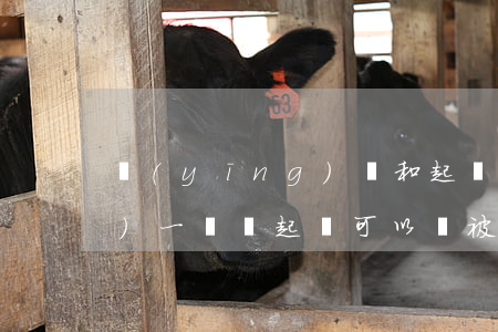 應(yīng)訴和起訴的律師費(fèi)一樣嗎(起訴可以讓被告給律師費(fèi)和訴訟費(fèi)嗎)