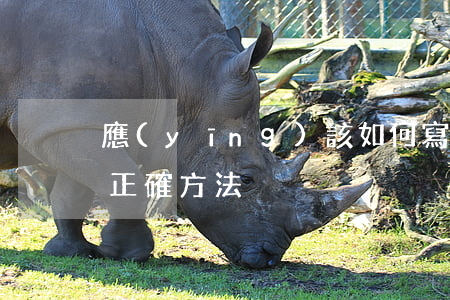 應(yīng)該如何寫欠條有效(寫欠條的正確方法)