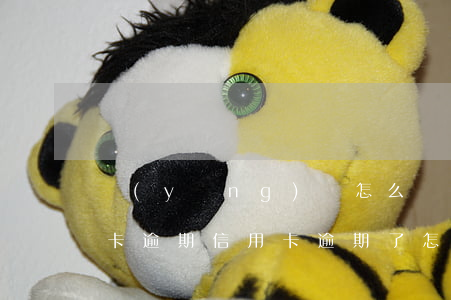 應(yīng)該怎么協(xié)商信用卡逾期(信用卡逾期了怎么跟銀行協(xié)商解決)