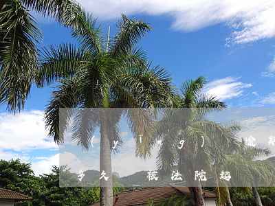 應(yīng)該逾期多久才會被起訴(逾期多久會被法院起訴)