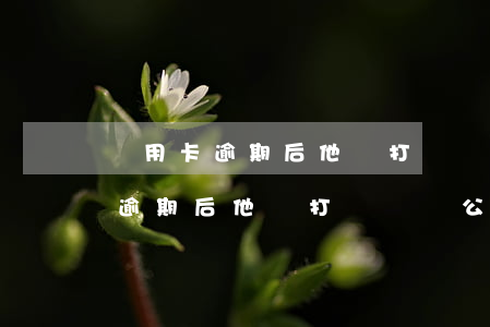 應用卡逾期后他會打電話給公司嗎-應用卡逾期后他會打電話給公司嗎怎么辦