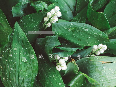 懒政可以被诉讼吗