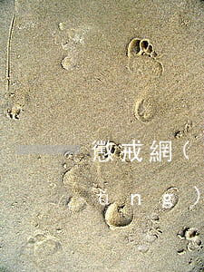懲戒網(wǎng)貸逾期行為新聞(網(wǎng)貸逾期被恐嚇)