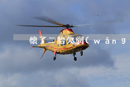 懷了二胎欠網(wǎng)貸10萬怎么辦