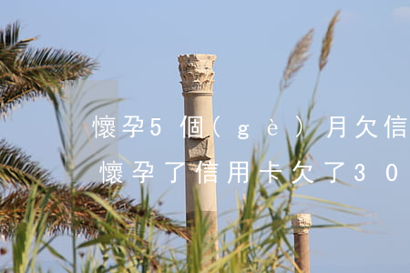 懷孕5個(gè)月欠信用卡3萬怎么辦-懷孕了信用卡欠了30萬怎么辦