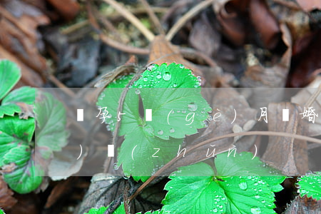 懷孕5個(gè)月離婚賠償標(biāo)準(zhǔn)