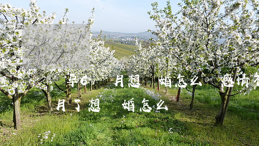 懷孕6個月想離婚怎么辦(感情不和懷孕六個月了想離婚怎么辦) 懷孕6個月想離婚怎么辦(感情不和懷孕六個月了想離婚怎么辦)