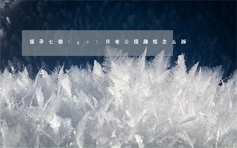 懷孕七個(gè)月老公提離婚怎么辦
