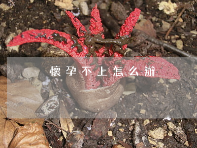 懷孕不上怎么辦