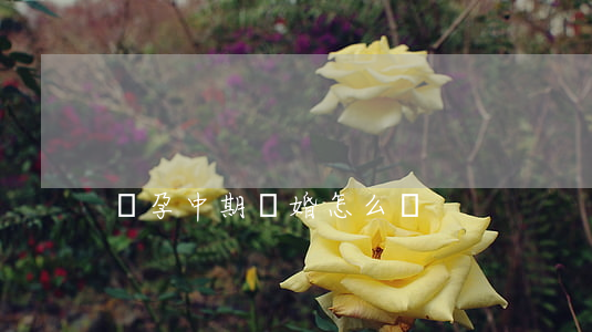 懷孕中期離婚怎么辦
