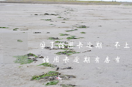 懷孕了信用卡逾期還不上能協(xié)商嗎（信用卡逾期有房有車能協(xié)商嗎）