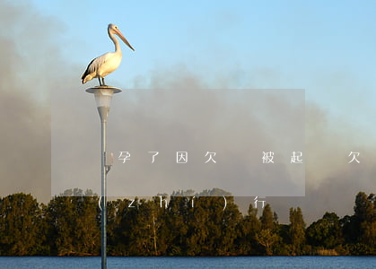 懷孕了因欠錢被起訴(欠錢被起訴了孕期能執(zhí)行嗎)