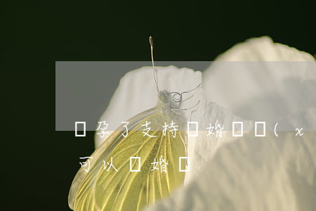 懷孕了支持離婚嗎(現(xiàn)在懷著孕可以離婚嗎)