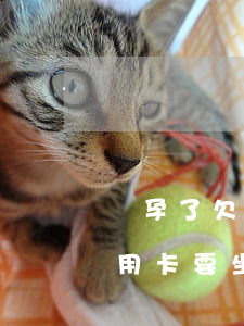 懷孕了欠信用卡10幾萬還不來-懷孕欠信用卡要坐牢嗎
