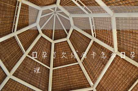 懷孕了欠信用卡怎么辦(孕婦欠信用卡怎么處理)
