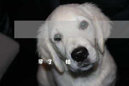 懷孕了離婚