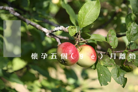 懷孕五個(gè)月離婚孩子怎么辦