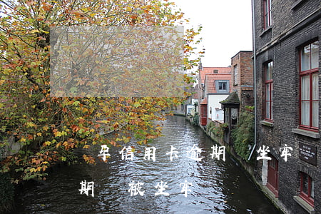 懷孕信用卡逾期會坐牢嗎(懷孕期間信用卡逾期會被坐牢嗎)
