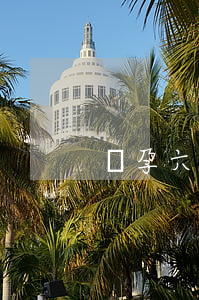 懷孕六個月可以離婚嗎
