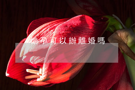 懷孕可以辦離婚嗎