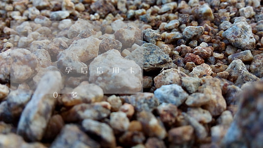 懷孕后信用卡還不上怎么辦（孕婦信用卡欠10多萬）