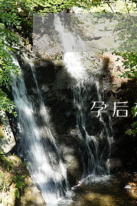 懷孕后想離婚