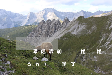 懷孕后我和鬧離婚(離婚發(fā)現(xiàn)懷孕了)
