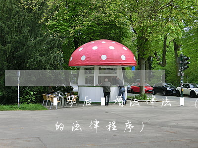 懷孕后離婚法律法規(guī)(孕期離婚的法律程序)