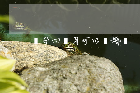 懷孕四個月可以離婚嗎