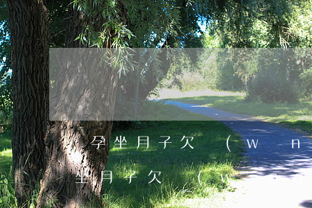 懷孕坐月子欠網(wǎng)貸怎么辦(懷孕坐月子欠網(wǎng)貸怎么辦)