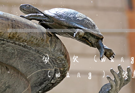 懷孕媽媽欠網(wǎng)貸會影響子女嗎(網(wǎng)貸欠款會影響子女嗎)